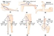 【屈伸怎么读】屈伸运动：理解与重要性