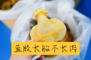 孕妇能否食用鱼胶？