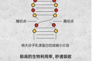 【鸡蛋怎么吃好吃】健肌粉味道的形成过程