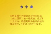 水中毒：危险与防范措施