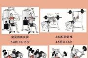 【怎么才能练出肌肉】怎样练出真肌肉：科学健身指南