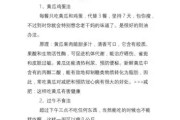 哪种减肥最有效？科学研究揭示最佳减肥方法