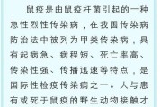 鼠疫的症状及其防治措施