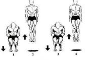 【怎么才能练弹跳力】怎样快速提升弹跳力？最有效的训练方法揭秘
