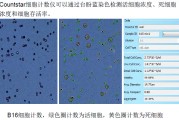 皮细胞计数-关键指标透视人体健康状况