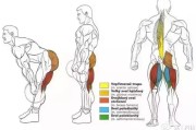 【健身硬拉的好处】健身硬拉技巧与姿势详解，让你更轻松拉起重量