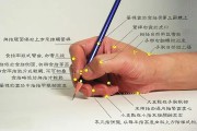 【要领拼音怎么写】写动作要领的技巧与方法