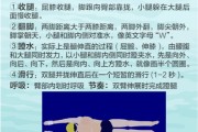 【怎么提高游泳速度和耐力】提高游泳速度的关键方法