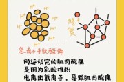 【健身肌肉酸痛怎么快速缓解】健康科普：如何缓解健身肌酸