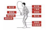 【怎么练成肌肉男】怎样练成小肌肉？掌握这四个关键点