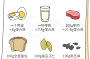 【怎么增加蛋白质的摄入】怎样提高蛋白质含量？简单易行的方法分享