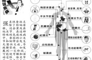 脊柱炎——疾病的症状、原因和治疗方法