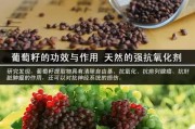 葡萄籽的功效：抗氧化、美肤、提升免疫力等