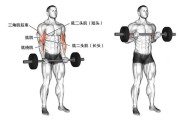 【怎么样练肱二头肌最快最有效】怎样练肱二头肌，打造强壮臂膀的方法与技巧