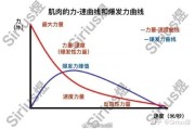 【爆发力怎么练】探讨人体爆发力：力量的源泉与提升方法